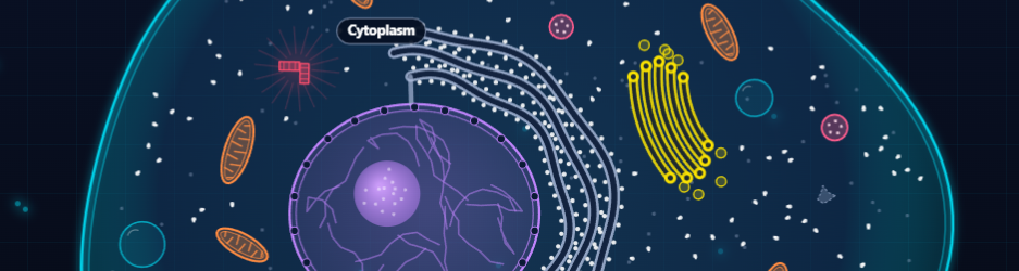 Excerpt from the Cell Explorer